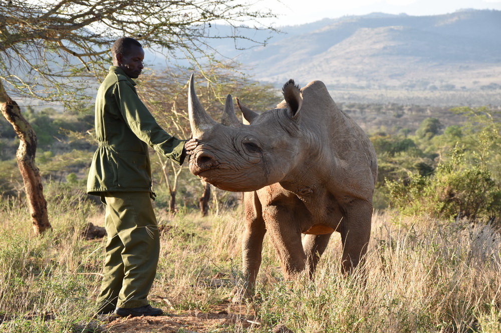 Why These Places Matter — Conservation, Community & the Future of Safari